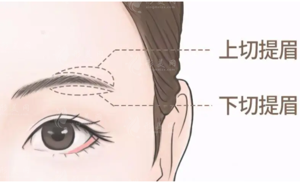 切眉和提眉有啥区别？本文为你解答